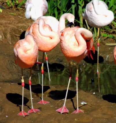 Sightseeing Tours, Travel Packages and Day Trips from Tours4Fun.com
