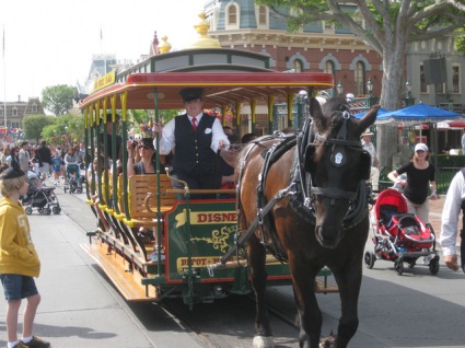 Sightseeing Tours, Travel Packages and Day Trips from Tours4Fun.com