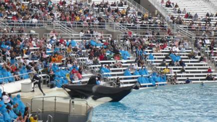 6-Day San Francisco, Yosemite National Park, Sea World and Universal Studios Bus Tour Package