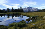 8-Day Yosemite, San Francisco, Grand Canyon, Disneyland or California Adventure Park Tour Package