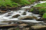 Tennessee and Virginia 4-Day Tour