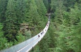 5.5 Hours of Vancouver City and Capilano Suspension Bridge Tour