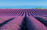 Burgundy & Provence From Paris To Cote D'azur with Extended Stay In Provence