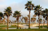 1 D&iacute;a: Visite las Playas m&aacute;s Hermosas de Los &Aacute;ngeles