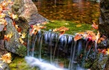 2-Day Vancouver Island, Victoria, Butchart Gardens Tour from Vancouver