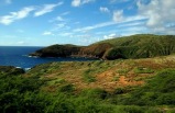 6-Day Pearl Harbor & Honolulu City, Mini-Circle Island, Polynesian Cultural Center & Island of Maui or The Big Island Tour Package from Honolulu **Promotion Tour**