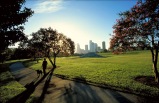 Historic Downtown Houston Pub Crawl Small Group Tour