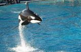 9-Day Package Tour to San Francisco, Yosemite, Grand Canyon(South or West Rim), Las Vegas, Universal Studios and Sea World(Starts/Ends in SFO) **Summer Package**