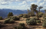 3-Day Las Vegas, West Grand Canyon (Skywalk) Bus Tour with Sunrise (LA/LV Departure) **Stay One Night inside West Grand Canyon**