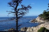 2-Day 17 Miles Scenic Drive, Carmel, Roaring Camp & Steam Train Tour