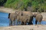 Untouched Botswana with Zambia's National Parks