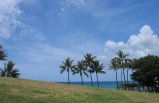 3-day Pearl Harbor, Chinatown, Honolulu City Tour Package from Honolulu(Standard Quality) ** Optional tours: Ali'i Kai Dinner Cruise, Hanauma Bay Snorkeling **