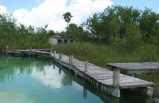 Muyil Forest and Floating Tour