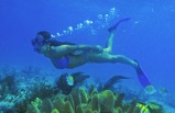 Xcaret Half Day Tour