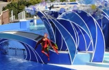 Sea World of San Diego Day Tour