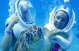 Xcaret Plus Half Day Tour