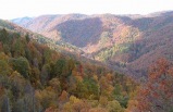 8 Day Virginia, Tennessee & Mississippi US Southeastern Tour from NY (With Airport Transfers)