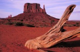 8-Day Canyon Country Adventure Bus Tour