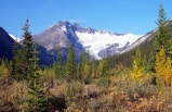 6-Day Vancouver, Victoria, Whistler & Canadian Rocky Mountain Winter Tour Package(Vancouver/Seattle Airport Pick-up)