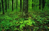 Historic Trails & Blue Ridge Mountains with Special Civil War Departure