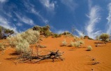 Alice Springs to Uluru One Way Tour