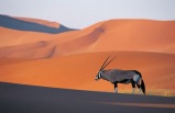 5-Day Yellowstone, Grand Teton, Bryce Canyon & Antelope Canyon Bus Tour from Las Vegas