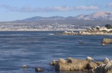 1-Day Monterey Bay Bus Tour