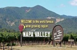 1-Day Napa Valley Bus Tour