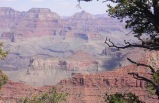 5-Day San Francisco, Los Angeles, Las Vegas, Grand Canyon Tour (With SFO Airport Transfer)