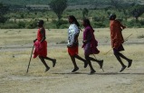 Tanzania Highlights