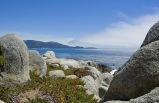 5-Day Bus Tour to Grand Canyon, San Francisco and 17 Miles Scenic Drive from Las Vegas