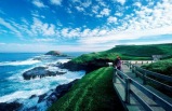 Phillip Island Day Tour **Optional "Penguins Plus" Viewing / Private Penguin Parade Experience