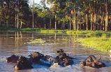 Grand Tour of South America with Brazil's Amazon & Lake Titicaca