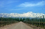 South America Selection with Mendoza