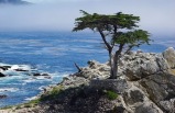 5-Day San Francisco, 17 Miles Scenic Drive Tour