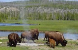 7-Day Yellowstone National Park, Mt. Rushmore, Arches National Park & Lenwood Tour (Start in LV, End in LA) **One night stay in Canyon Lodge inside Yellowstone Park**