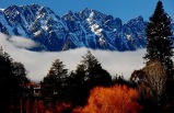 Highlights Of New Zealand