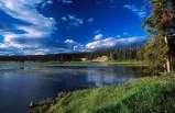 5-Day Yellowstone National Park, West Grand Canyon(Skywalk) Tour (Start in LA, End in SLC) **2 nights stay in Canyon Lodge inside Yellowstone Park**