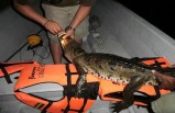 Crocodile Adventure