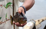 Peru Highlights with Peru's Amazon