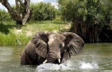 Untouched Botswana with Zambia's National Parks