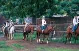 Kualoa Ranch Half-Day Tour ****With Lunch & Transfer**