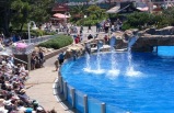 4-Day Bus Tour to Los Angeles, San Diego Seaworld and Universal Studios