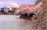 4 Day US East Coast Tour to New York, Philadelphia, Baltimore, Washington D.C (with airport transfer)