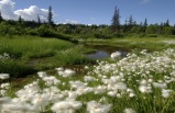 Alaska & The Yukon