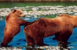 Alaskan Adventure with Alaska Cruise Extension