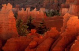 Colorado\'s National Parks & Trains
