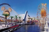 1-Day California Adventure Theme Park Tour