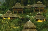 Galapagos Highlights with Ecuador's Tropical Forest