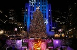 NY See The Holiday Lights! Tour